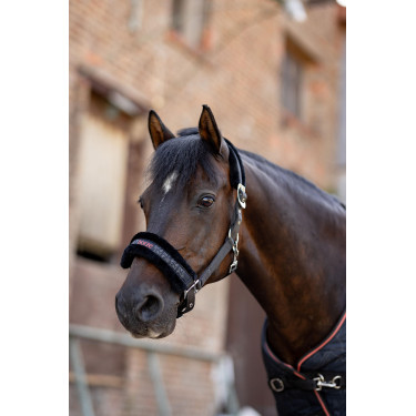 Capestro e lunghina per pony Pegasus Horze Capestro e lunghina per pony Pegasus Horze