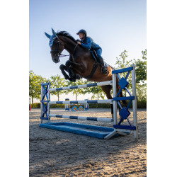 Giacca da equitazione in pile Darcey Horze Celeste Blu
