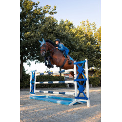 Giacca da equitazione in pile Darcey Horze Celeste Blu