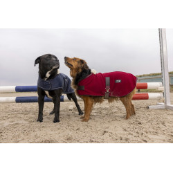 Coperta in pile Diego & Louna Teddy Coperta in pile Diego & Louna Teddy