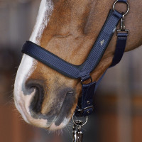 Capezzina HV Polo Essential Marina Blu marino Capezzina HV Polo Essential Marina Blu marino