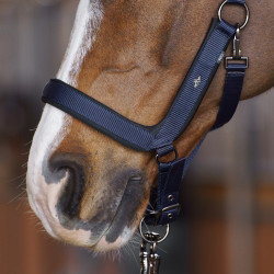 Capezzina HV Polo Essential Marina Blu marino