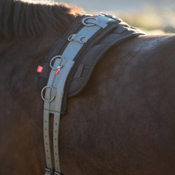 Sottopancia da lavoro in nylon Imperial Riding Deluxe Extra Saggio scuro Blu