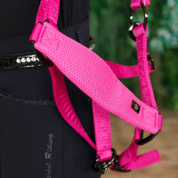 Capezzina Imperial Riding Cloud Dancer Rosa shock Capezzina Imperial Riding Cloud Dancer Rosa shock