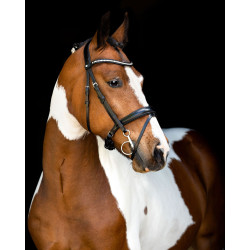 Briglia Montar testiera Anatomica Fair Nero