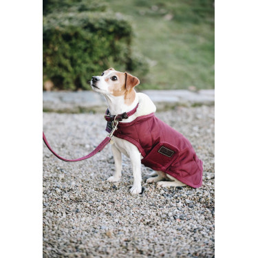 Guinzaglio per cane in nylon intrecciato 200 cm Kentucky Bordeaux Guinzaglio per cane in nylon intrecciato 200 cm Kentucky Bordeaux