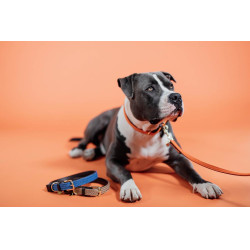 Guinzaglio per cane in nylon intrecciato 200 cm Kentucky Guinzaglio per cane in nylon intrecciato 200 cm Kentucky