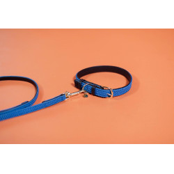Guinzaglio per cane in nylon intrecciato 200 cm Kentucky Guinzaglio per cane in nylon intrecciato 200 cm Kentucky