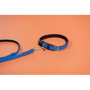 Guinzaglio per cane in nylon intrecciato 200 cm Kentucky Guinzaglio per cane in nylon intrecciato 200 cm Kentucky