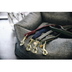 Laisse pour chien Plaited Nylon 200 cm Kentucky Laisse pour chien Plaited Nylon 200 cm Kentucky