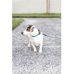Guinzaglio per cane in nylon intrecciato 200 cm Kentucky Guinzaglio per cane in nylon intrecciato 200 cm Kentucky