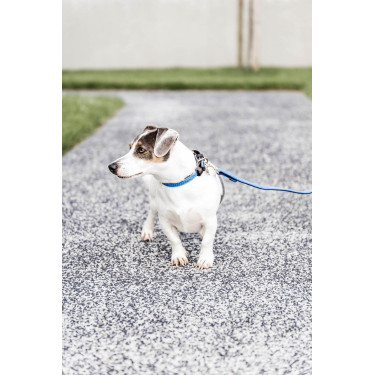 Guinzaglio per cane in nylon intrecciato 200 cm Kentucky Guinzaglio per cane in nylon intrecciato 200 cm Kentucky