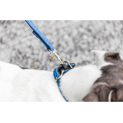 Guinzaglio per cane in nylon intrecciato 200 cm Kentucky Guinzaglio per cane in nylon intrecciato 200 cm Kentucky