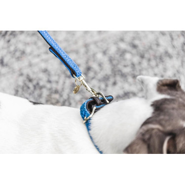 Guinzaglio per cane in nylon intrecciato 200 cm Kentucky Guinzaglio per cane in nylon intrecciato 200 cm Kentucky