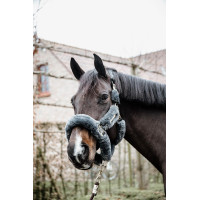 Capezzina Capestro da trasporto per pecore Kentucky Grigio