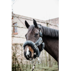 Capezzina Capestro da trasporto per pecore Kentucky Grigio