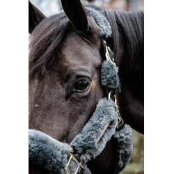 Capezzina Capestro da trasporto per pecore Kentucky Grigio