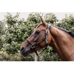 Testiera per capestro anatomico in cuoio Kentucky Nero