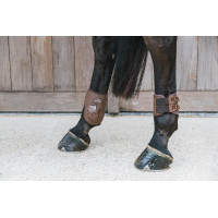 Paranocche elastiche Kentucky Nero