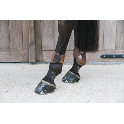 Paranocche elastiche Kentucky Marrone Paranocche elastiche Kentucky Marrone