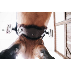 Pecora rimovibile per Sottopancia Anatomico corto Kentucky Marrone Pecora rimovibile per Sottopancia Anatomico corto Kentucky Marrone