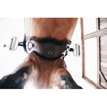 Pecora rimovibile per Sottopancia Anatomico corto Kentucky Marrone Pecora rimovibile per Sottopancia Anatomico corto Kentucky Marrone