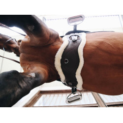 Pecora rimovibile per Sottopancia Anatomico corto Kentucky Pecora rimovibile per Sottopancia Anatomico corto Kentucky