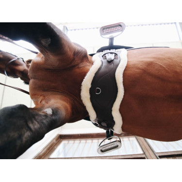Pecora rimovibile per Sottopancia Anatomico corto Kentucky Pecora rimovibile per Sottopancia Anatomico corto Kentucky