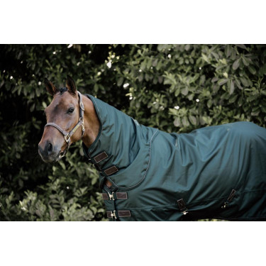 Copricollo All Weather Impermeabile Pro Kentucky