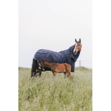 Coperta da paddock impermeabile per tutte le stagioni Comfort Kentucky Coperta da paddock impermeabile per tutte le stagioni Comfort Kentucky