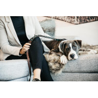 Guinzaglio per cane in perle fatte a mano Kentucky Azzurro chiaro Blu