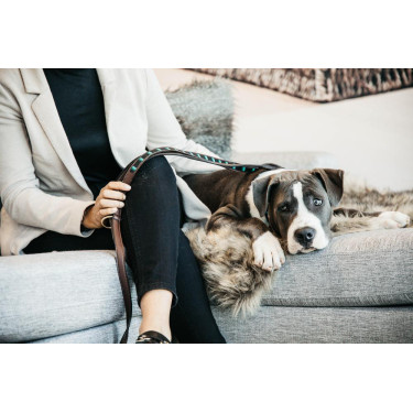 Guinzaglio per cane in perle fatte a mano Kentucky Nero