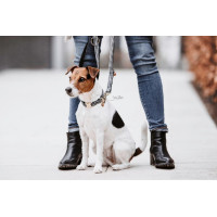 Guinzaglio per cane Pied-de-poule Kentucky Nero