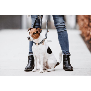 Guinzaglio per cane Pied-de-poule Kentucky