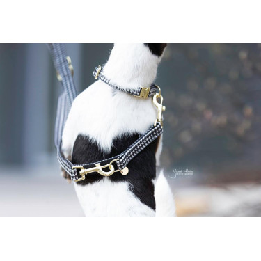 Guinzaglio per cane Pied-de-poule Kentucky Nero