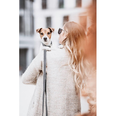 Guinzaglio per cane Pied-de-poule Kentucky Nero