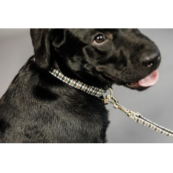 Guinzaglio per cane Pied-de-poule Kentucky Marrone