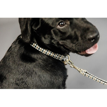 Guinzaglio per cane Pied-de-poule Kentucky Marrone