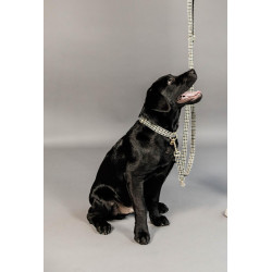 Guinzaglio per cane Pied-de-poule Kentucky Marrone