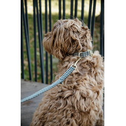 Guinzaglio per cane Pied-de-poule Kentucky Marrone