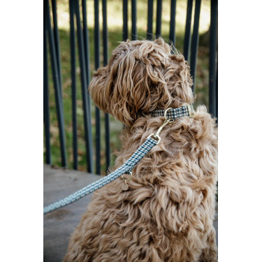 Guinzaglio per cane Pied-de-poule Kentucky Marrone