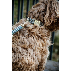 Guinzaglio per cane Pied-de-poule Kentucky Marrone