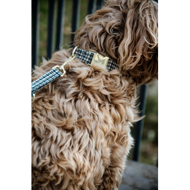 Guinzaglio per cane Pied-de-poule Kentucky Marrone