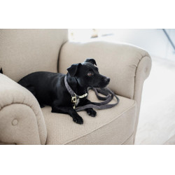 Guinzaglio per cane Wool Longue Kentucky