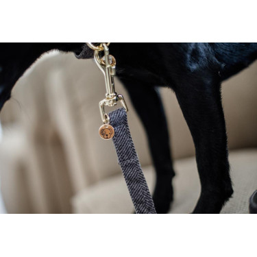 Guinzaglio per cane Wool Longue Kentucky Guinzaglio per cane Wool Longue Kentucky