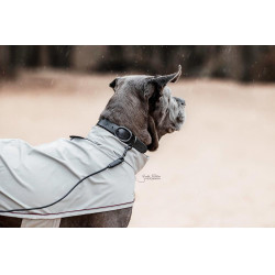 Lascia Gomma Morbida Kentucky Nero Lascia Gomma Morbida Kentucky Nero