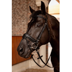Briglia da dressage Horze Eternal Gaze Briglia da dressage Horze Eternal Gaze