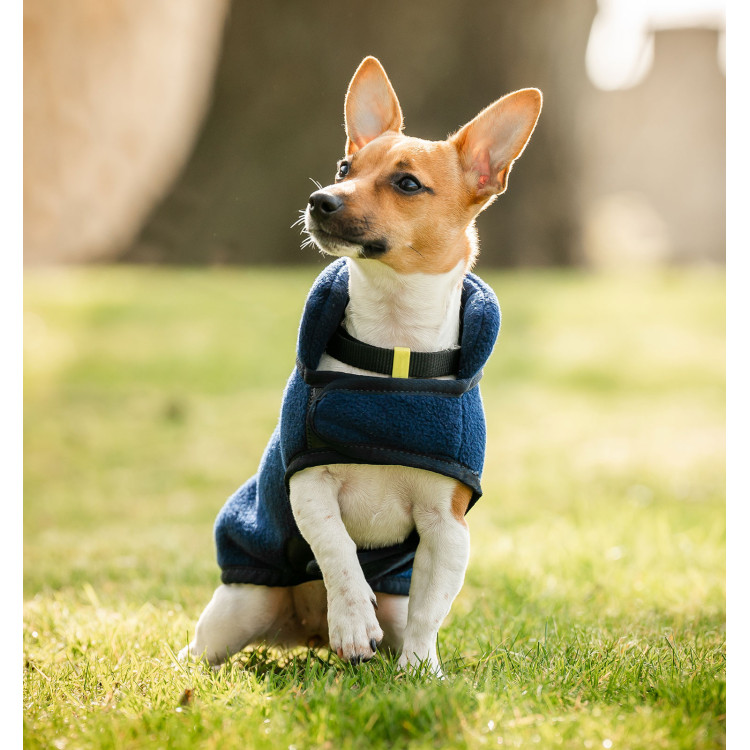 Pile per Cane Horseware® Signature senza imbottitura