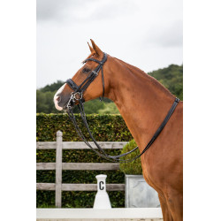 Briglia Dy'on collezione dressage cuoio piatto Capezzina Large Verniciata