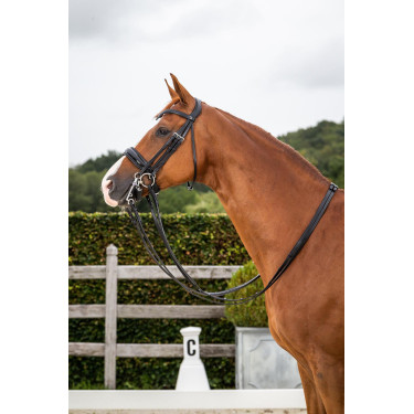 Briglia Dy'on collezione dressage cuoio piatto Capezzina Large Verniciata
